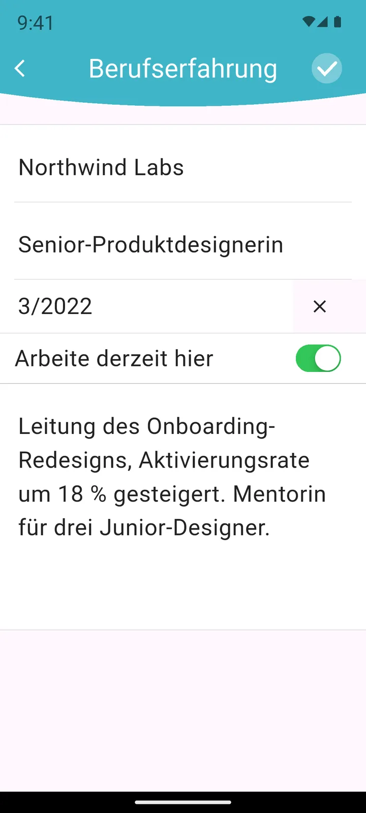 Berufserfahrung eintragen