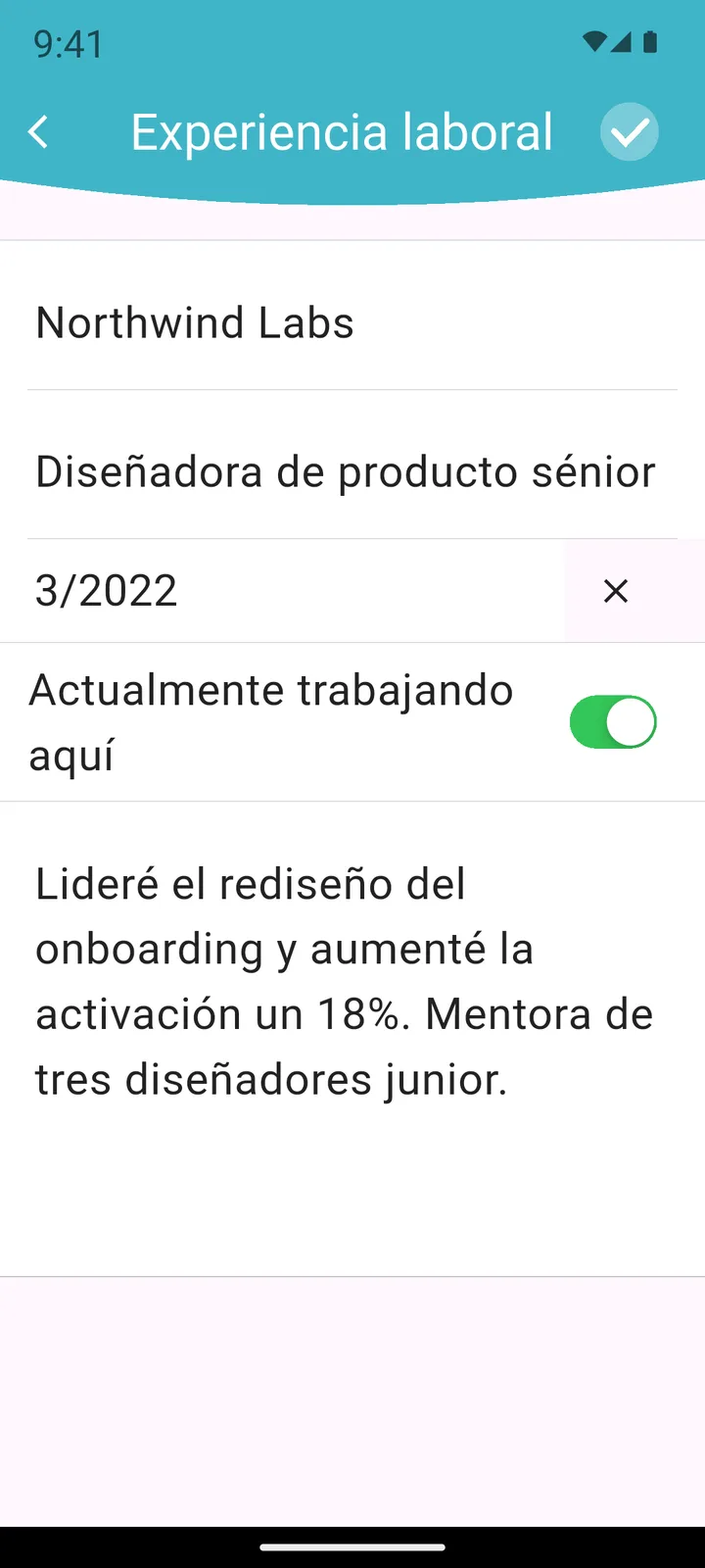Rellenando los datos de la experiencia laboral