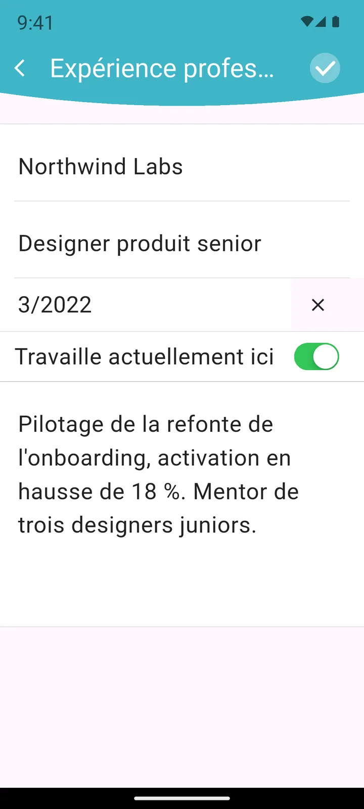 Saisie des détails de l'expérience professionnelle