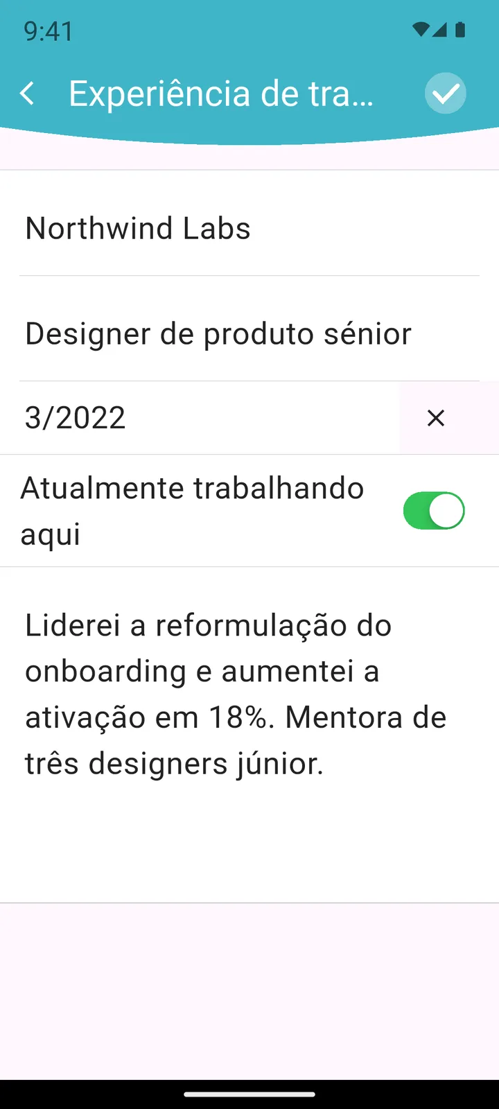 Preenchendo os dados da experiência profissional